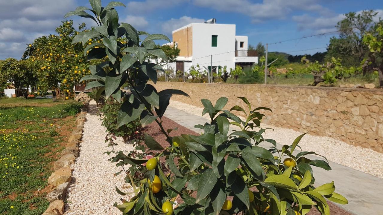 Pepis Holiday home Santa Agnes de Corona