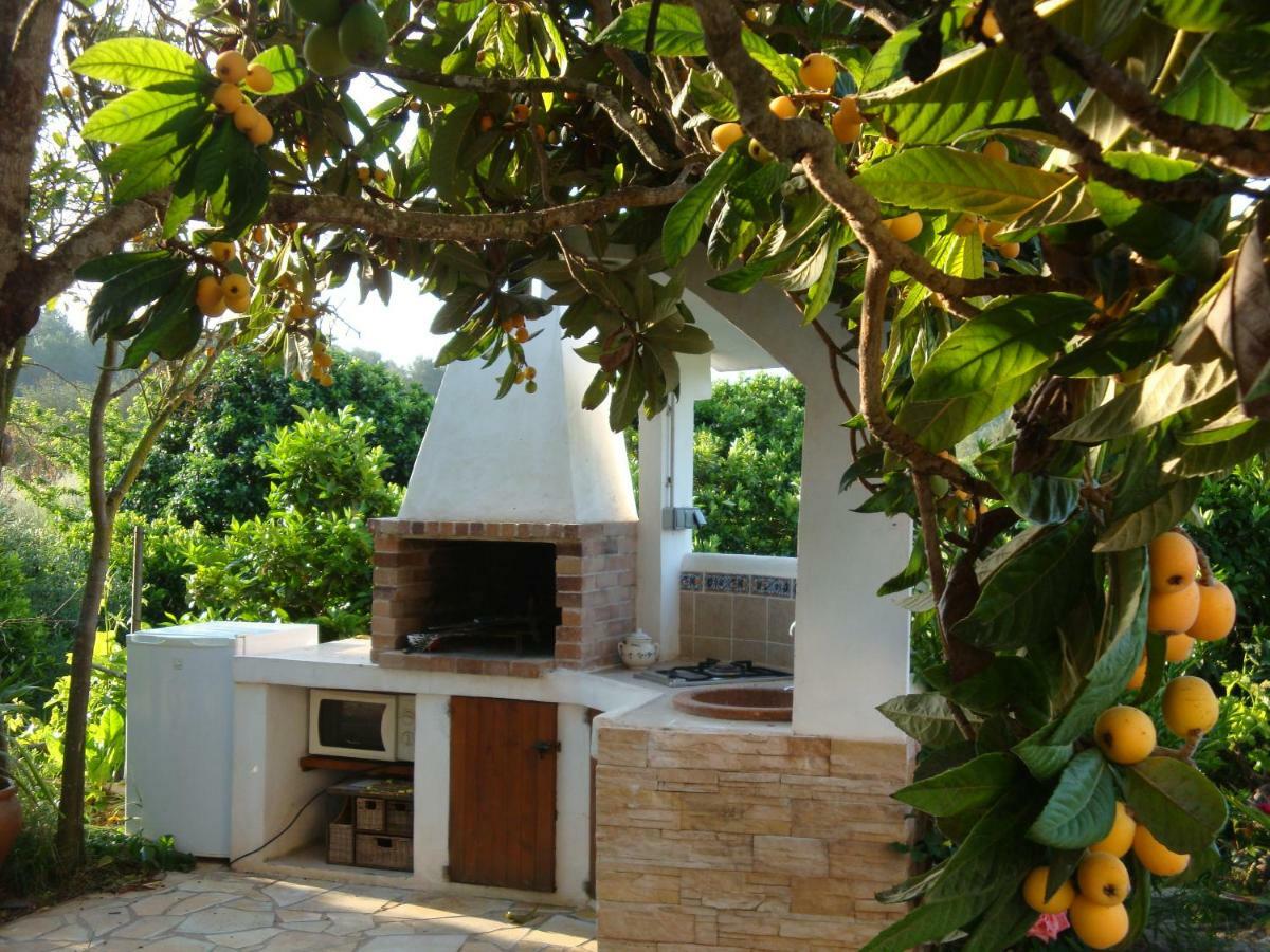 Pepis Holiday home